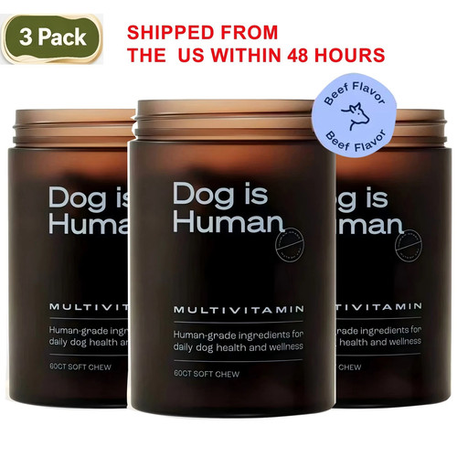 Dog human daily - is,