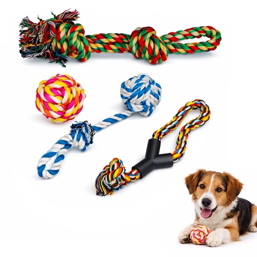 Pack dog rope - 4, toy