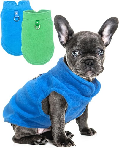 Pack dog sweater with leash - dog,